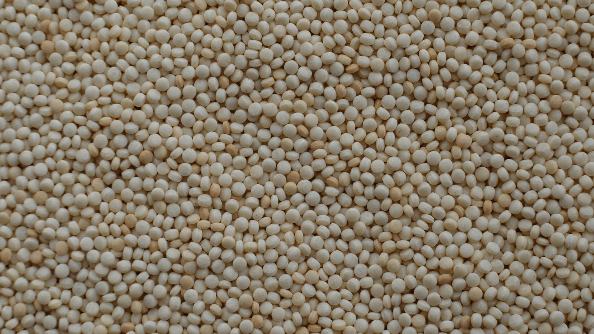 Cous-cous Senza Glutine