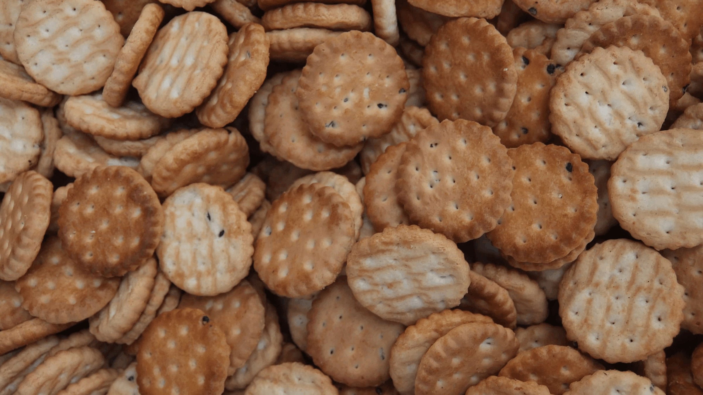 Sostituti del Pane Senza Glutine