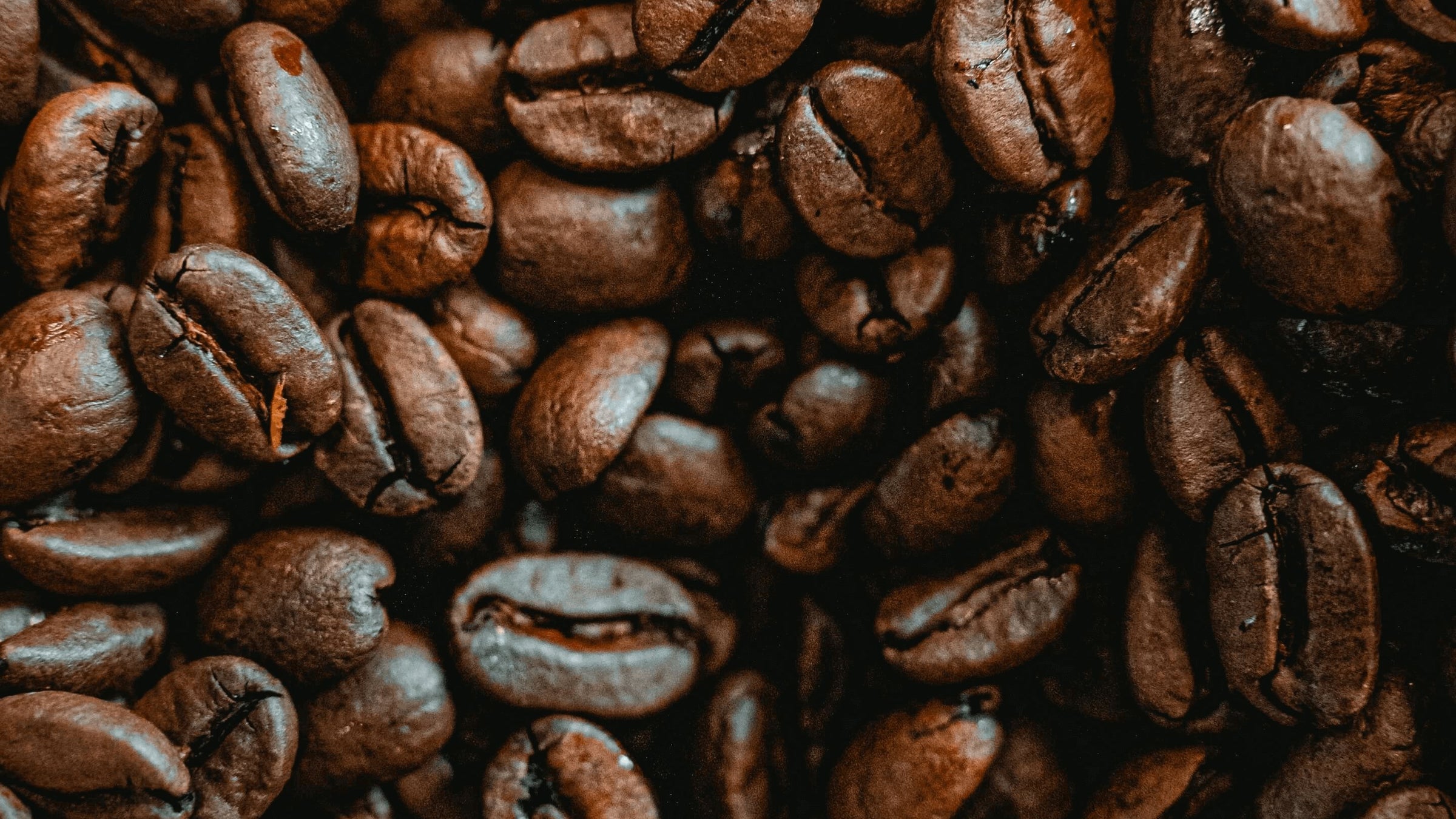 Latte & Caffè