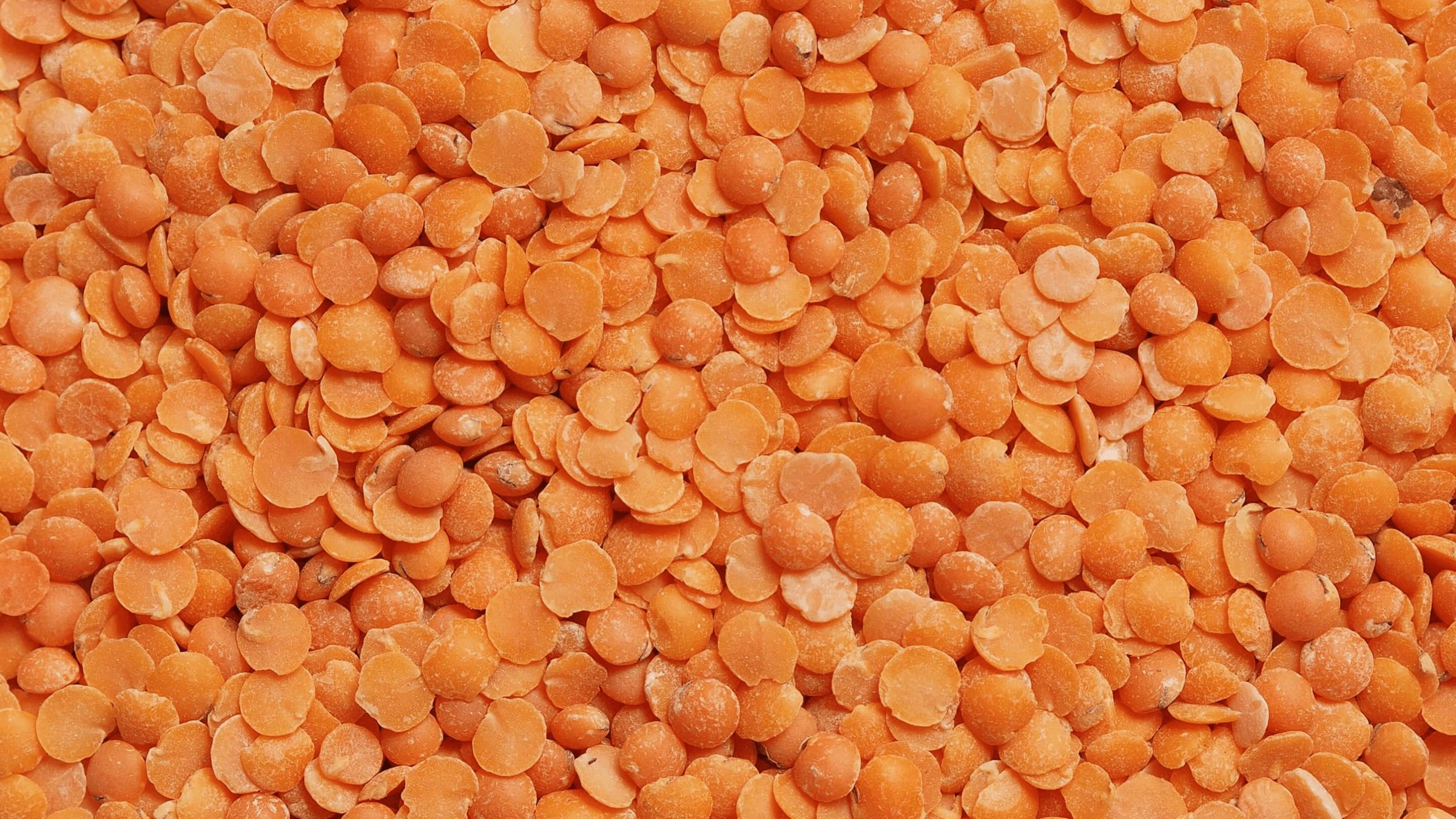 Pasta di Legumi Senza Glutine
